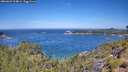 ./images/calvert/foggy-cove/20260623/foggy-cove20260623_114001M.jpg