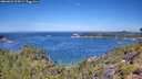 ./images/calvert/foggy-cove/20260623/foggy-cove20260623_114501M.jpg