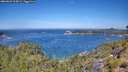 ./images/calvert/foggy-cove/20260623/foggy-cove20260623_115001M.jpg