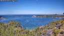./images/calvert/foggy-cove/20260623/foggy-cove20260623_115501M.jpg