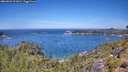 ./images/calvert/foggy-cove/20260623/foggy-cove20260623_121001M.jpg