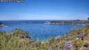 ./images/calvert/foggy-cove/20260623/foggy-cove20260623_121501M.jpg