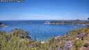 ./images/calvert/foggy-cove/20260623/foggy-cove20260623_122501M.jpg