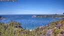 ./images/calvert/foggy-cove/20260623/foggy-cove20260623_124001M.jpg