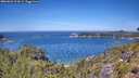 ./images/calvert/foggy-cove/20260623/foggy-cove20260623_124501M.jpg