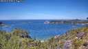 ./images/calvert/foggy-cove/20260623/foggy-cove20260623_125001M.jpg