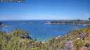 ./images/calvert/foggy-cove/20260623/foggy-cove20260623_125502M.jpg