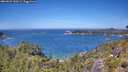 ./images/calvert/foggy-cove/20260623/foggy-cove20260623_130502M.jpg