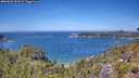 ./images/calvert/foggy-cove/20260623/foggy-cove20260623_131001M.jpg