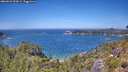 ./images/calvert/foggy-cove/20260623/foggy-cove20260623_132001M.jpg