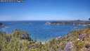 ./images/calvert/foggy-cove/20260623/foggy-cove20260623_132501M.jpg
