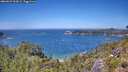 ./images/calvert/foggy-cove/20260623/foggy-cove20260623_133001M.jpg