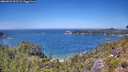 ./images/calvert/foggy-cove/20260623/foggy-cove20260623_133501M.jpg