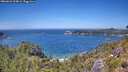 ./images/calvert/foggy-cove/20260623/foggy-cove20260623_134001M.jpg