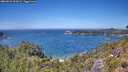 ./images/calvert/foggy-cove/20260623/foggy-cove20260623_134501M.jpg
