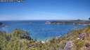 ./images/calvert/foggy-cove/20260623/foggy-cove20260623_135001M.jpg