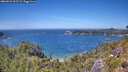 ./images/calvert/foggy-cove/20260623/foggy-cove20260623_135501M.jpg