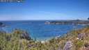 ./images/calvert/foggy-cove/20260623/foggy-cove20260623_140501M.jpg