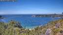 ./images/calvert/foggy-cove/20260623/foggy-cove20260623_141001M.jpg