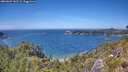 ./images/calvert/foggy-cove/20260623/foggy-cove20260623_141501M.jpg