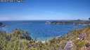 ./images/calvert/foggy-cove/20260623/foggy-cove20260623_142001M.jpg