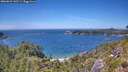 ./images/calvert/foggy-cove/20260623/foggy-cove20260623_142501M.jpg