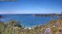 ./images/calvert/foggy-cove/20260623/foggy-cove20260623_143501M.jpg