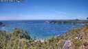 ./images/calvert/foggy-cove/20260623/foggy-cove20260623_144002M.jpg