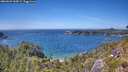 ./images/calvert/foggy-cove/20260623/foggy-cove20260623_144501M.jpg