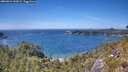 ./images/calvert/foggy-cove/20260623/foggy-cove20260623_145001M.jpg