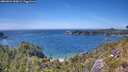 ./images/calvert/foggy-cove/20260623/foggy-cove20260623_150001M.jpg