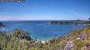 ./images/calvert/foggy-cove/20260623/foggy-cove20260623_151001M.jpg