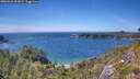 ./images/calvert/foggy-cove/20260623/foggy-cove20260623_152002M.jpg