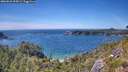 ./images/calvert/foggy-cove/20260623/foggy-cove20260623_153002M.jpg