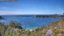 ./images/calvert/foggy-cove/20260623/foggy-cove20260623_153501M.jpg