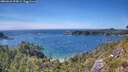 ./images/calvert/foggy-cove/20260623/foggy-cove20260623_154501M.jpg