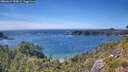 ./images/calvert/foggy-cove/20260623/foggy-cove20260623_155001M.jpg