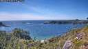./images/calvert/foggy-cove/20260623/foggy-cove20260623_163001M.jpg