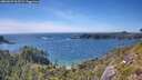 ./images/calvert/foggy-cove/20260623/foggy-cove20260623_163501M.jpg