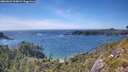 ./images/calvert/foggy-cove/20260623/foggy-cove20260623_164001M.jpg