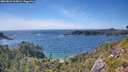 ./images/calvert/foggy-cove/20260623/foggy-cove20260623_164501M.jpg