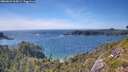 ./images/calvert/foggy-cove/20260623/foggy-cove20260623_165001M.jpg