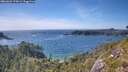 ./images/calvert/foggy-cove/20260623/foggy-cove20260623_170001M.jpg