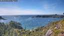 ./images/calvert/foggy-cove/20260623/foggy-cove20260623_171001M.jpg