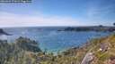 ./images/calvert/foggy-cove/20260623/foggy-cove20260623_172001M.jpg