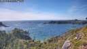 ./images/calvert/foggy-cove/20260623/foggy-cove20260623_172501M.jpg