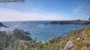 ./images/calvert/foggy-cove/20260623/foggy-cove20260623_173001M.jpg
