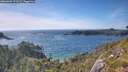 ./images/calvert/foggy-cove/20260623/foggy-cove20260623_173501M.jpg