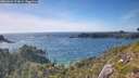 ./images/calvert/foggy-cove/20260623/foggy-cove20260623_174001M.jpg