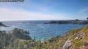 ./images/calvert/foggy-cove/20260623/foggy-cove20260623_174502M.jpg